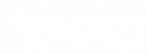 University of Turku logo