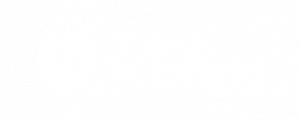 Turun yliopiston logo